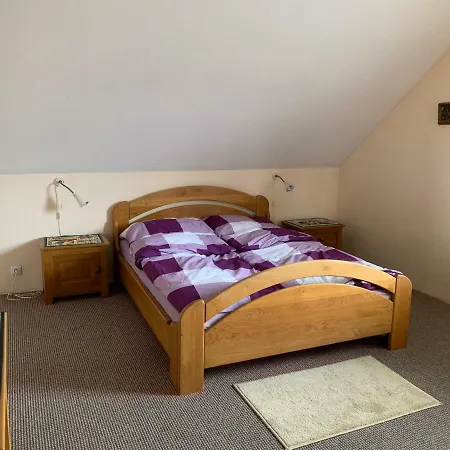 Villa Frymburk ヴィラ