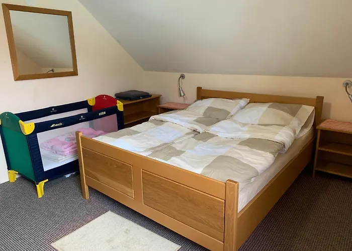 ヴィラ Villa Frymburk *