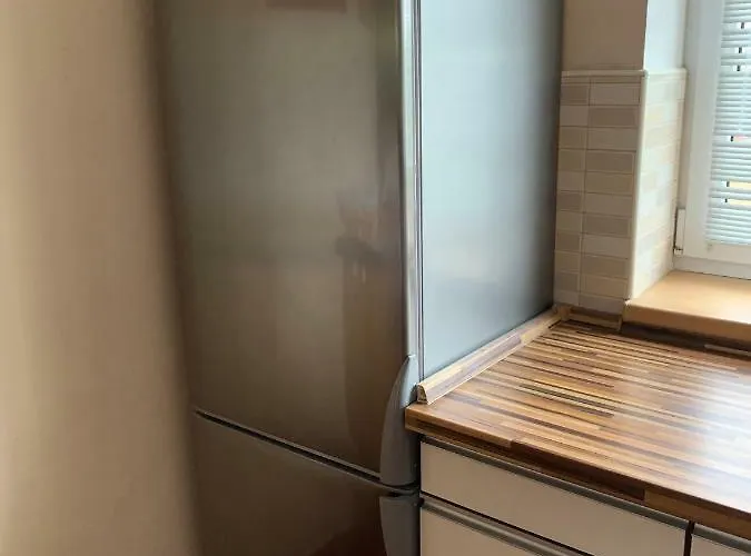 Villa Frymburk ヴィラ *